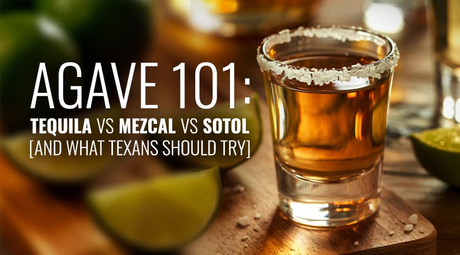 Featured image for Tequila vs Mezcal vs Sotol: Key Differences Between Mexico’s Signature Spirits